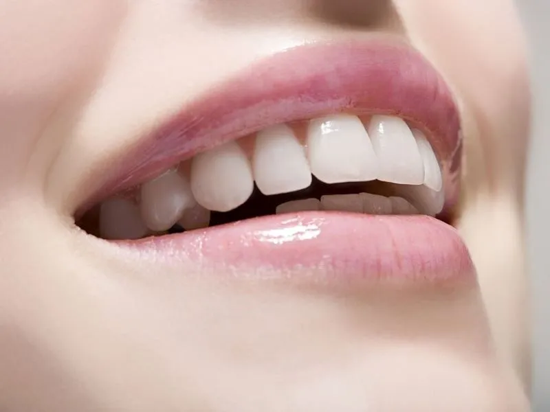 how many teeth an adult has